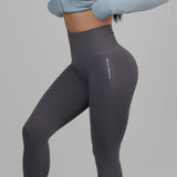 COMPACT SEAMLESS LEGGINGS bodywerkz 